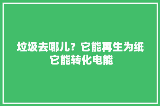 垃圾去哪儿？它能再生为纸 它能转化电能