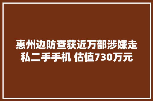 惠州边防查获近万部涉嫌走私二手手机 估值730万元
