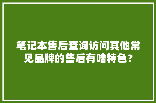 笔记本售后查询访问其他常见品牌的售后有啥特色？