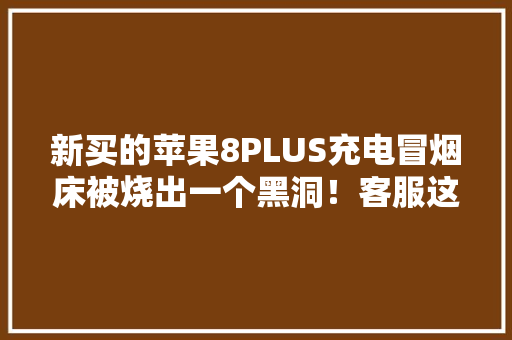 新买的苹果8PLUS充电冒烟床被烧出一个黑洞！客服这样说 新买的苹果8PLUS充电冒烟床被烧出一个黑洞！客服这样说 人工智能