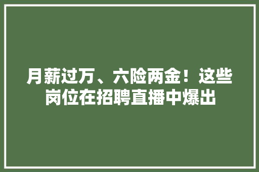 月薪过万、六险两金！这些岗位在招聘直播中爆出 月薪过万、六险两金！这些岗位在招聘直播中爆出 智能科技
