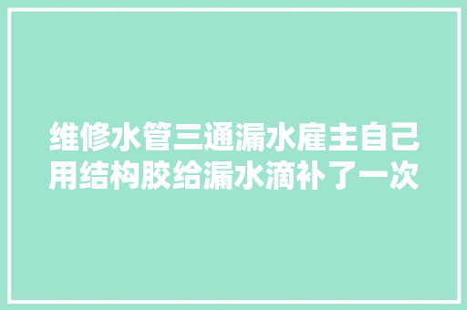 维修水管三通漏水雇主自己用结构胶给漏水滴补了一次没有补上