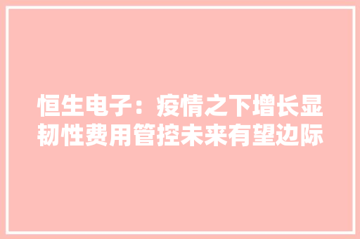 恒生电子：疫情之下增长显韧性费用管控未来有望边际向好 恒生电子：疫情之下增长显韧性费用管控未来有望边际向好 智能家居