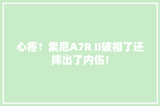 心疼！索尼A7R II破相了还摔出了内伤！ 心疼！索尼A7R II破相了还摔出了内伤！ 智能科技