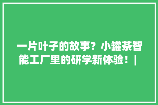 一片叶子的故事？小罐茶智能工厂里的研学新体验！| 520皖美夏日