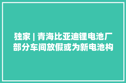 独家 | 青海比亚迪锂电池厂部分车间放假或为新电池构造