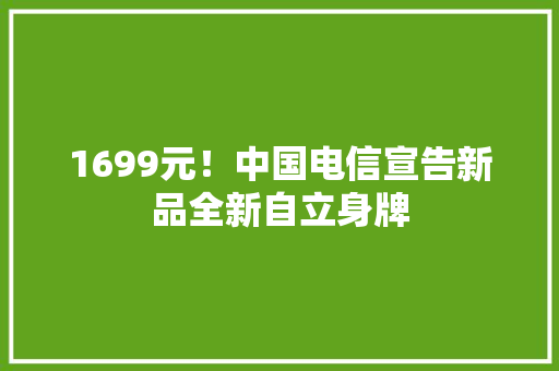 1699元！中国电信宣告新品全新自立身牌