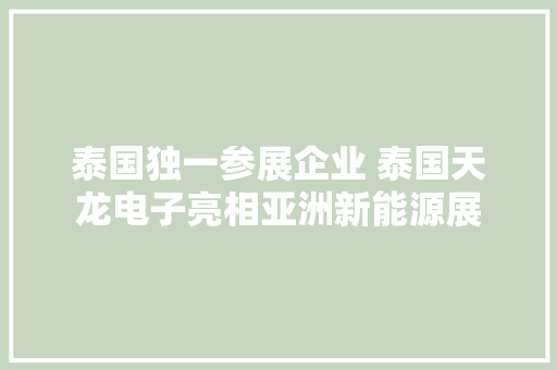 泰国独一参展企业 泰国天龙电子亮相亚洲新能源展