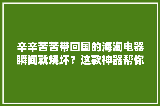 辛辛苦苦带回国的海淘电器瞬间就烧坏？这款神器帮你忙
