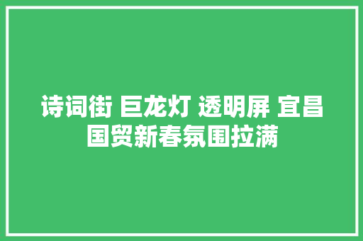 诗词街 巨龙灯 透明屏 宜昌国贸新春氛围拉满