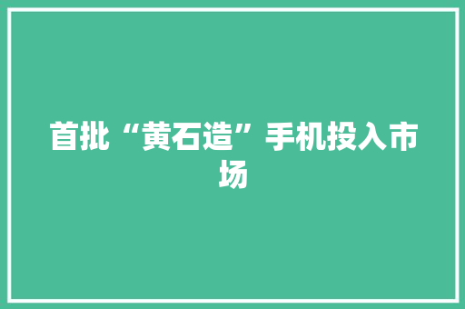 首批“黄石造”手机投入市场