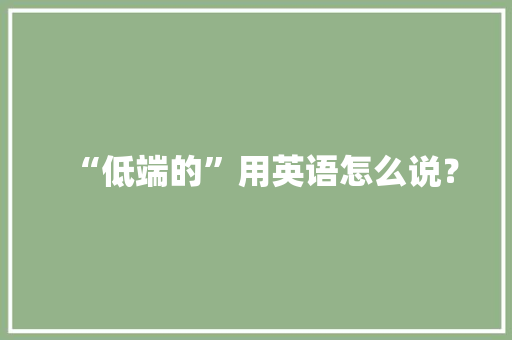 “低端的”用英语怎么说？
