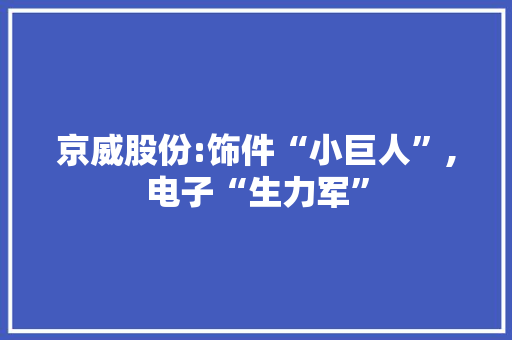 京威股份:饰件“小巨人”,电子“生力军”