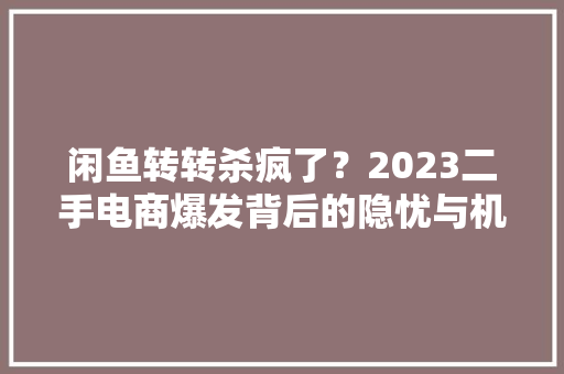 闲鱼转转杀疯了？2023二手电商爆发背后的隐忧与机遇