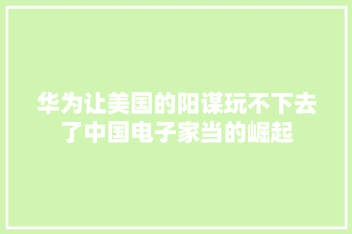华为让美国的阳谋玩不下去了中国电子家当的崛起 华为让美国的阳谋玩不下去了中国电子家当的崛起 互联通信