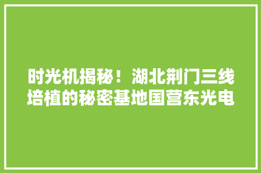 时光机揭秘！湖北荆门三线培植的秘密基地国营东光电器厂 时光机揭秘！湖北荆门三线培植的秘密基地国营东光电器厂 智能科技
