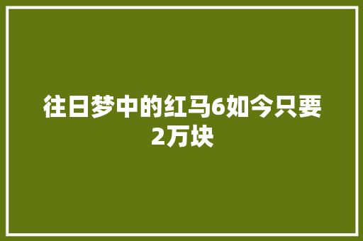 往日梦中的红马6如今只要2万块