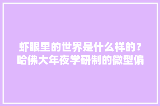 虾眼里的世界是什么样的？哈佛大年夜学研制的微型偏振相机能看见 虾眼里的世界是什么样的？哈佛大年夜学研制的微型偏振相机能看见 智能科技