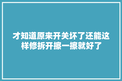才知道原来开关坏了还能这样修拆开擦一擦就好了