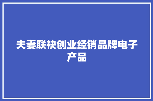 夫妻联袂创业经销品牌电子产品 夫妻联袂创业经销品牌电子产品 智能家居