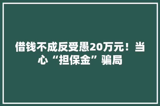 借钱不成反受愚20万元！当心“担保金”骗局