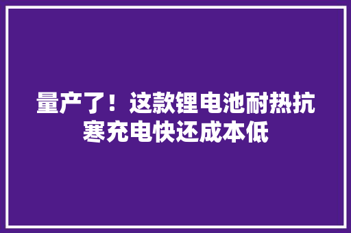 量产了！这款锂电池耐热抗寒充电快还成本低