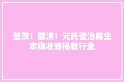 整改！撤消！元氏整治再生本钱收受接收行业