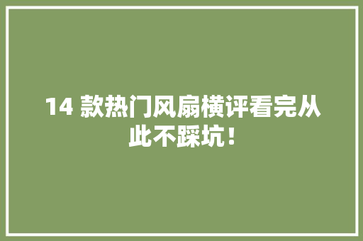 14 款热门风扇横评看完从此不踩坑！