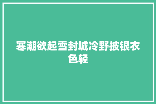 寒潮欲起雪封城冷野披银衣色轻