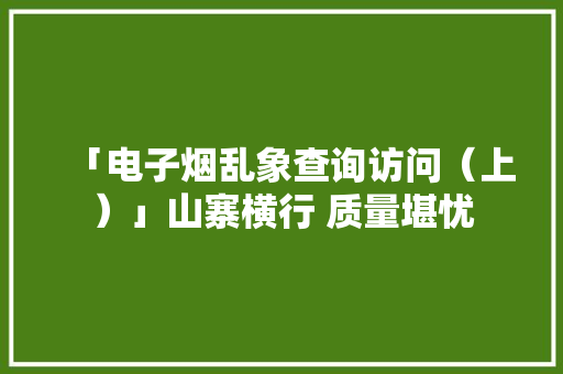 「电子烟乱象查询访问（上）」山寨横行 质量堪忧
