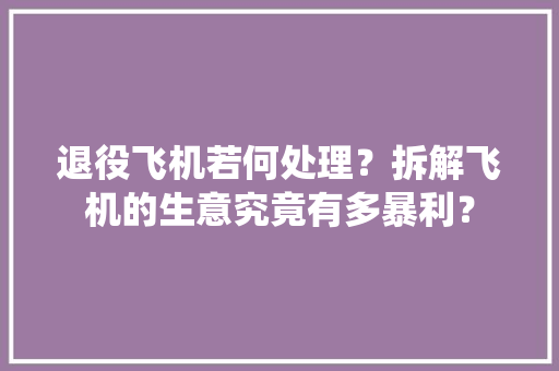 退役飞机若何处理？拆解飞机的生意究竟有多暴利？