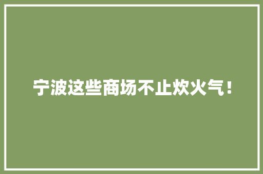 宁波这些商场不止炊火气！