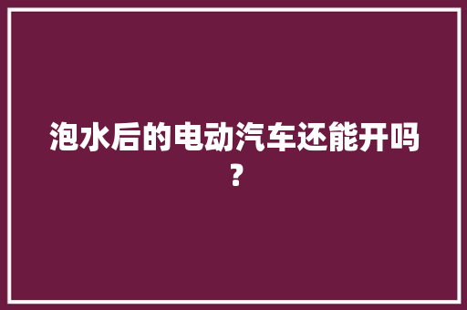泡水后的电动汽车还能开吗？