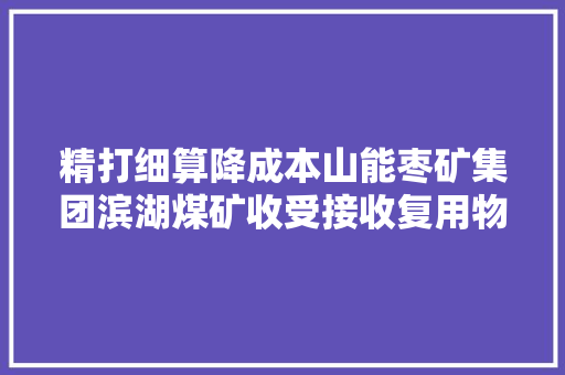 精打细算降成本山能枣矿集团滨湖煤矿收受接收复用物资“妙招迭出”