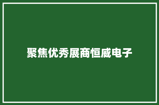 聚焦优秀展商恒威电子