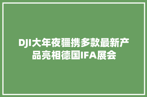 DJI大年夜疆携多款最新产品亮相德国IFA展会 DJI大年夜疆携多款最新产品亮相德国IFA展会 智能家居