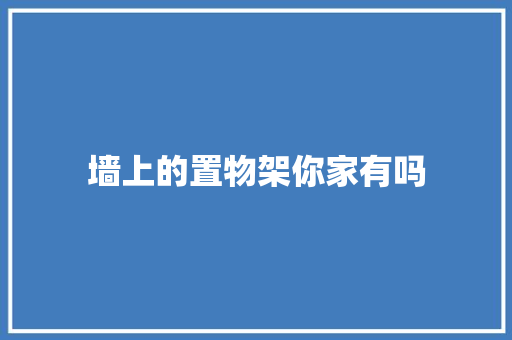 墙上的置物架你家有吗 墙上的置物架你家有吗 智能家居