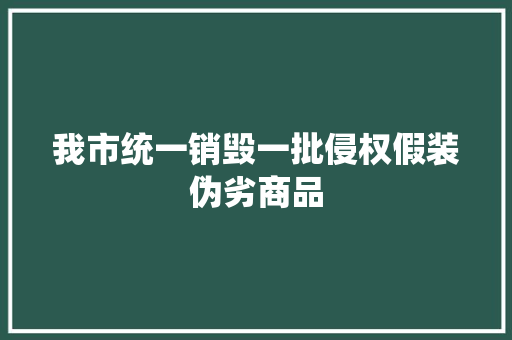 我市统一销毁一批侵权假装伪劣商品