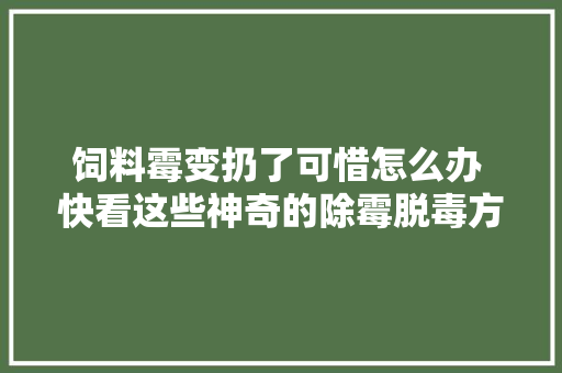 饲料霉变扔了可惜怎么办 快看这些神奇的除霉脱毒方法