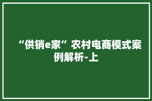“供销e家”农村电商模式案例解析-上