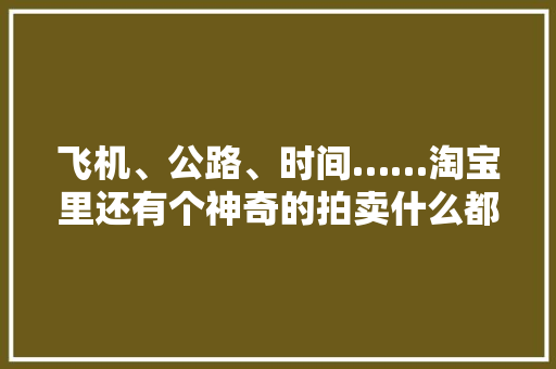 飞机、公路、时间……淘宝里还有个神奇的拍卖什么都卖