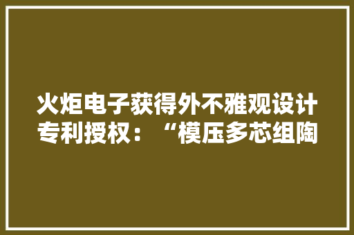 火炬电子获得外不雅观设计专利授权：“模压多芯组陶瓷电容器框架”