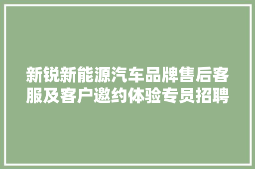 新锐新能源汽车品牌售后客服及客户邀约体验专员招聘