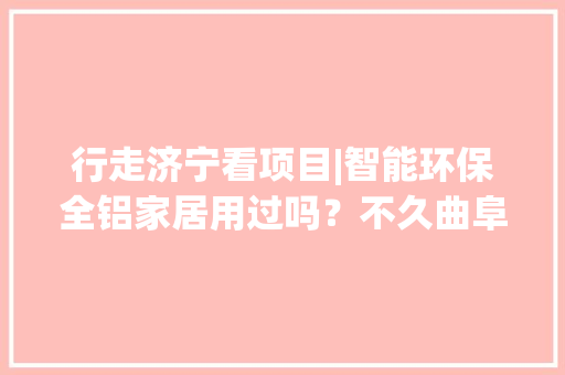行走济宁看项目|智能环保全铝家居用过吗？不久曲阜有造