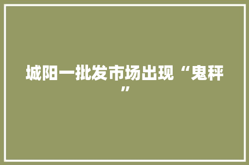 城阳一批发市场出现“鬼秤” 城阳一批发市场出现“鬼秤” 人工智能