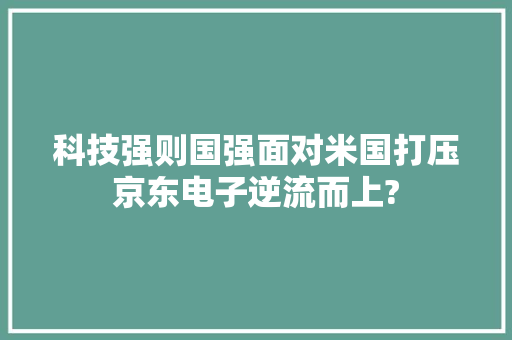 科技强则国强面对米国打压京东电子逆流而上? 科技强则国强面对米国打压京东电子逆流而上? 人工智能