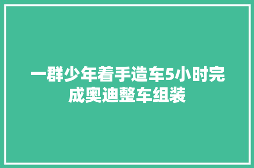 一群少年着手造车5小时完成奥迪整车组装