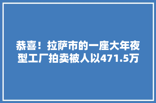 恭喜！拉萨市的一座大年夜型工厂拍卖被人以471.5万元的价格拿下！