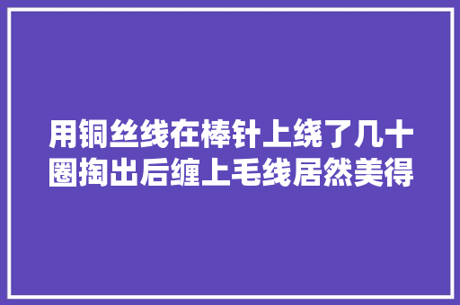 用铜丝线在棒针上绕了几十圈掏出后缠上毛线居然美得难以置信