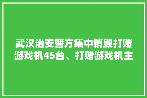 武汉治安警方集中销毁打赌游戏机45台、打赌游戏机主板376块
